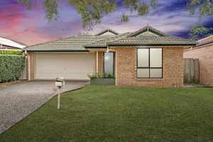 2 Livings Areas, Massive backyard, close to North Lakes Village North Lakes Pine Rivers Area Preview