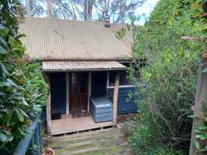 Elevated Bush Outlook Blackheath Blue Mountains Preview