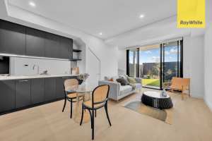 BRAND NEW LUXURIOUSLY APPOINTED TOWNHOUSE Parramatta Parramatta Area Preview