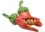 https://gumtreeau-dev-res.cloudinary.com/image/private/t_$_s-l1600/gumtree/267aa71d-4e9b-4623-9223-c1b094f674c9.jpg